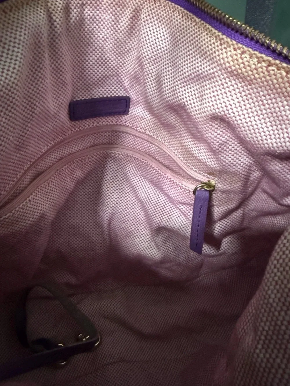 Dooney & Bourke Luna Purple Expandable Hobo Bag